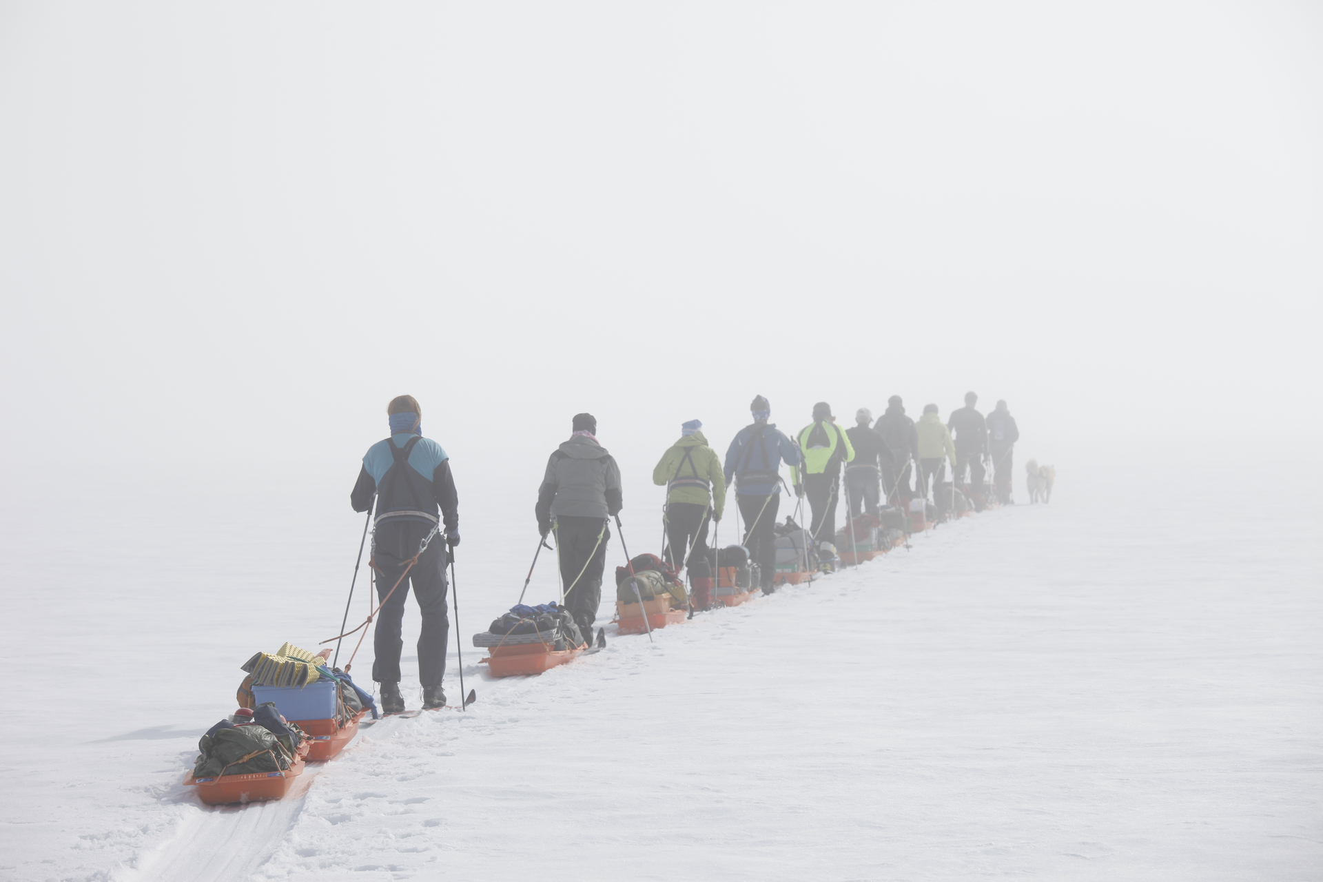 Skiers pulling sleds in fog_Photo: Hurtigruten Svalbard