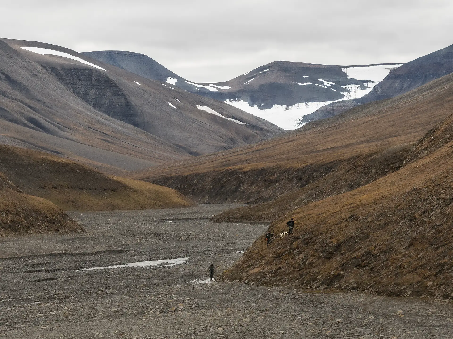 2 Foxfonna Hike Credit GreenDogSvalbard