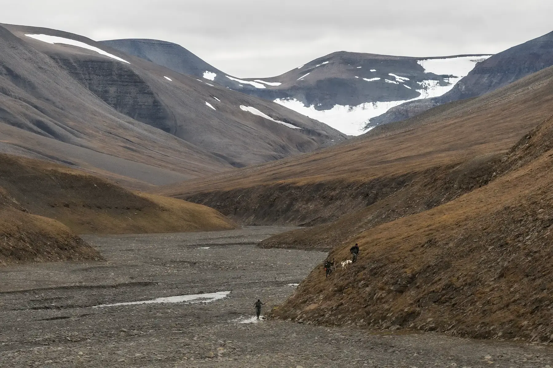 2 Foxfonna Hike Credit GreenDogSvalbard