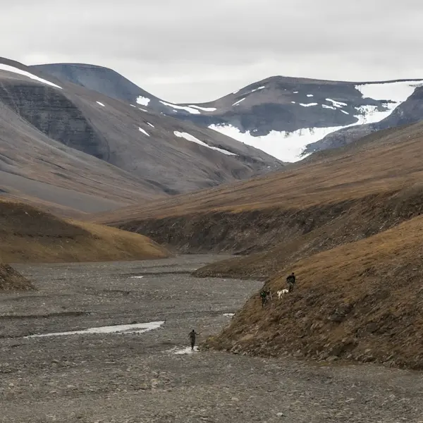 2 Foxfonna Hike Credit GreenDogSvalbard