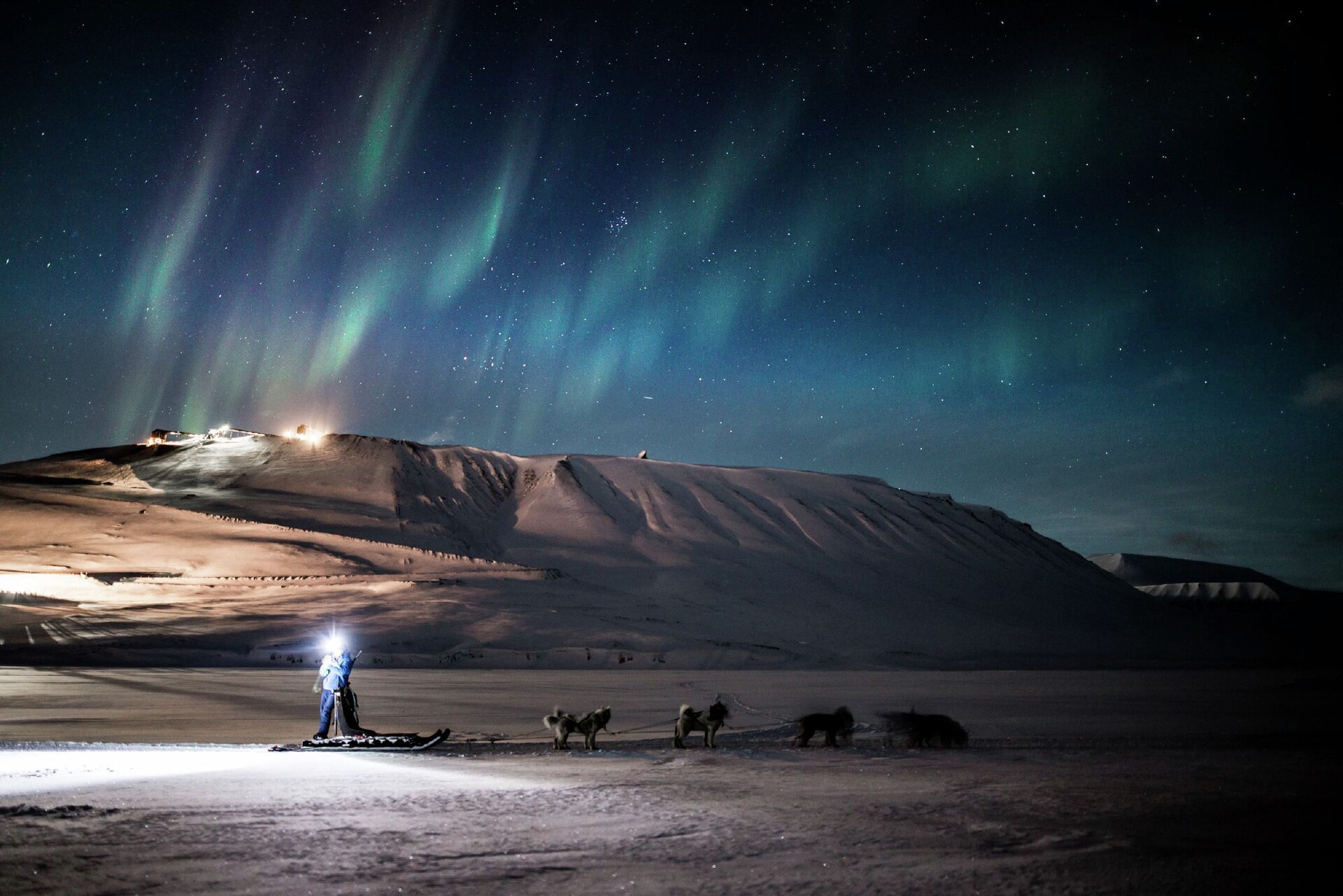 Dog sledding under the northern lights - Hurtigruten Svalbard - Photo Green Dog