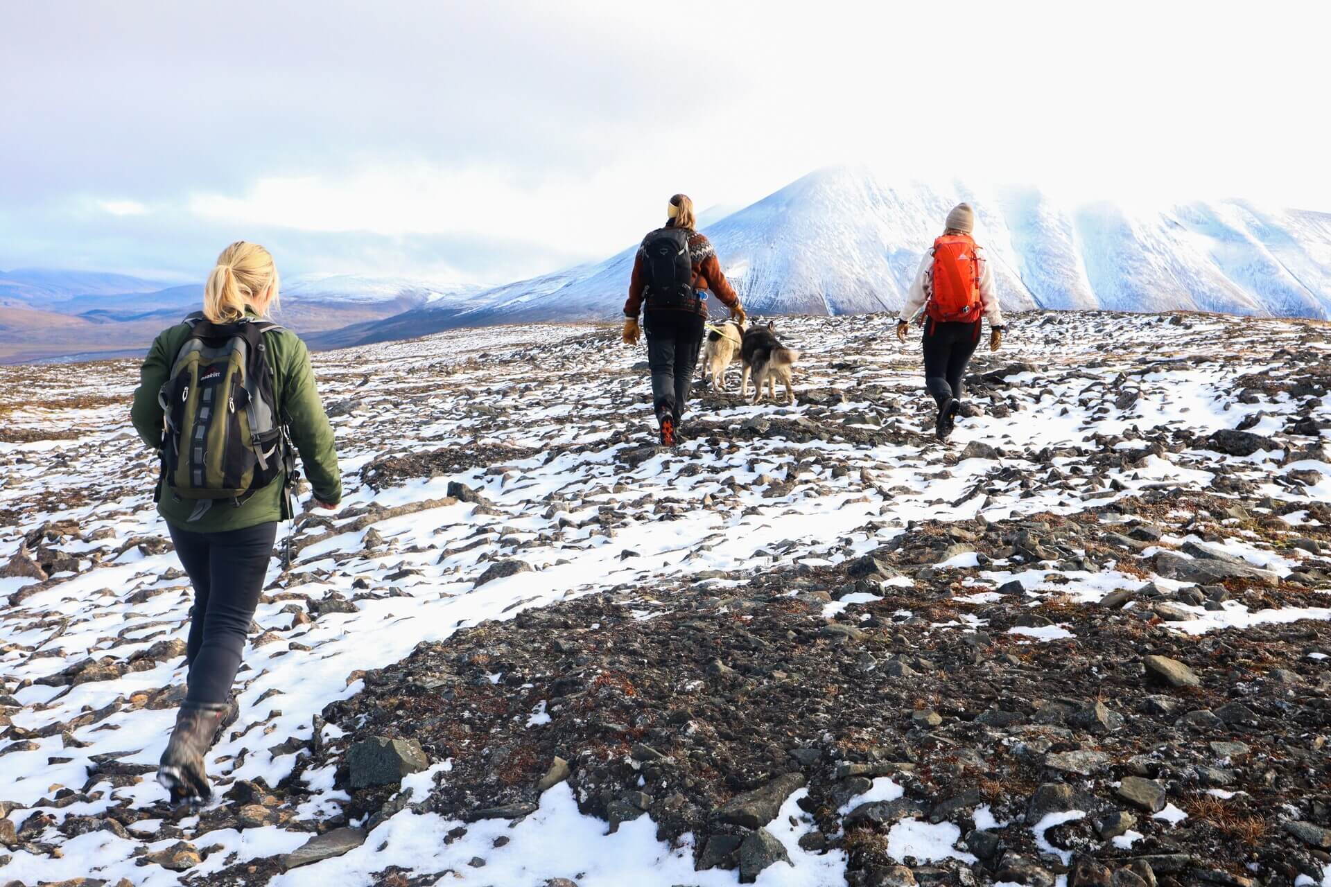 Hike to Foxfonna with Green Dog HGR 167304 1920 Photo Hurtigruten Svalbard(1)