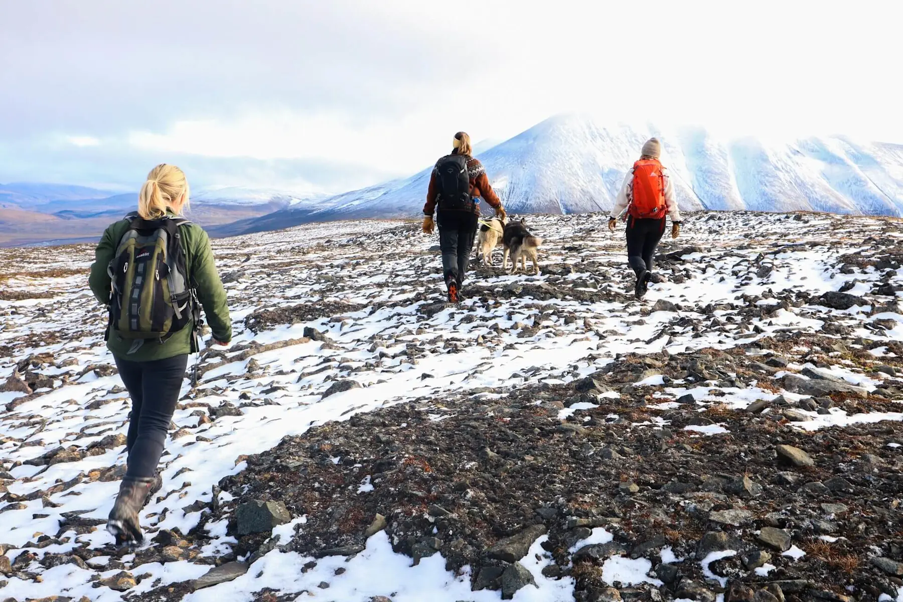 Hike to Foxfonna with Green Dog HGR 167304 1920 Photo Hurtigruten Svalbard(1)