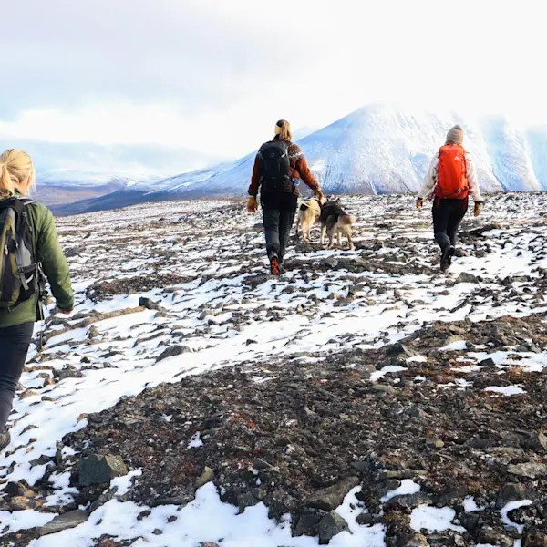 Hike to Foxfonna with Green Dog HGR 167304 1920 Photo Hurtigruten Svalbard(1)