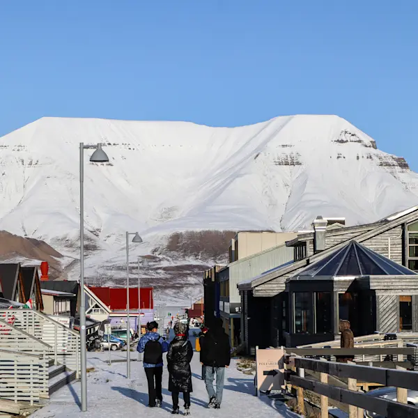 Golden Autumn HGR 164720 Photo Eveline Lunde