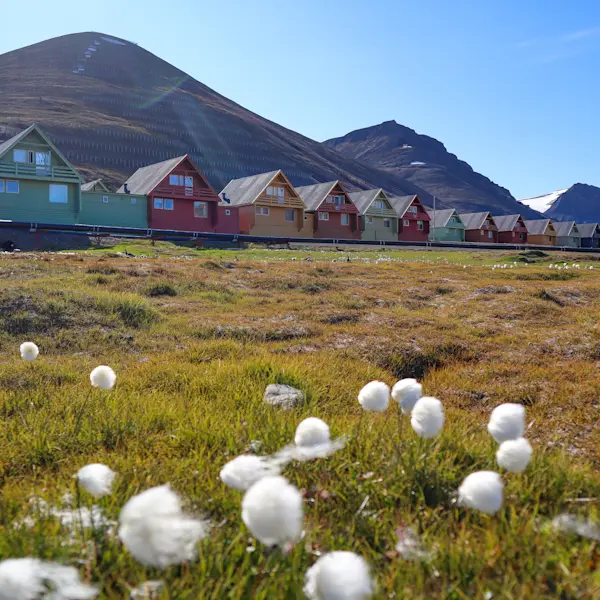Hurtigruten Svalbard_Spisshus Polar summer_Photo Eveline Lunde
