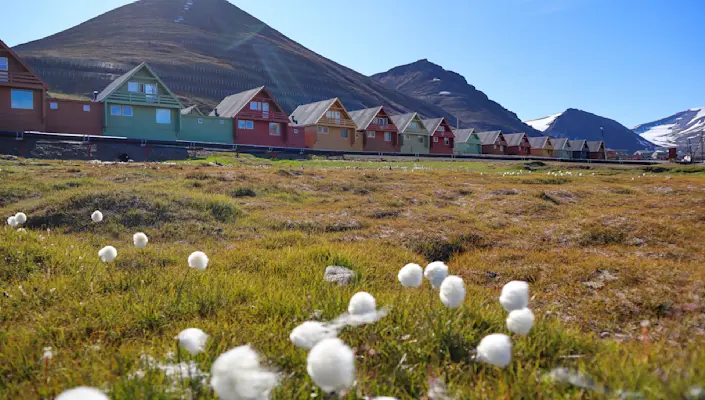 Hurtigruten Svalbard_Spisshus Polar summer_Photo Eveline Lunde