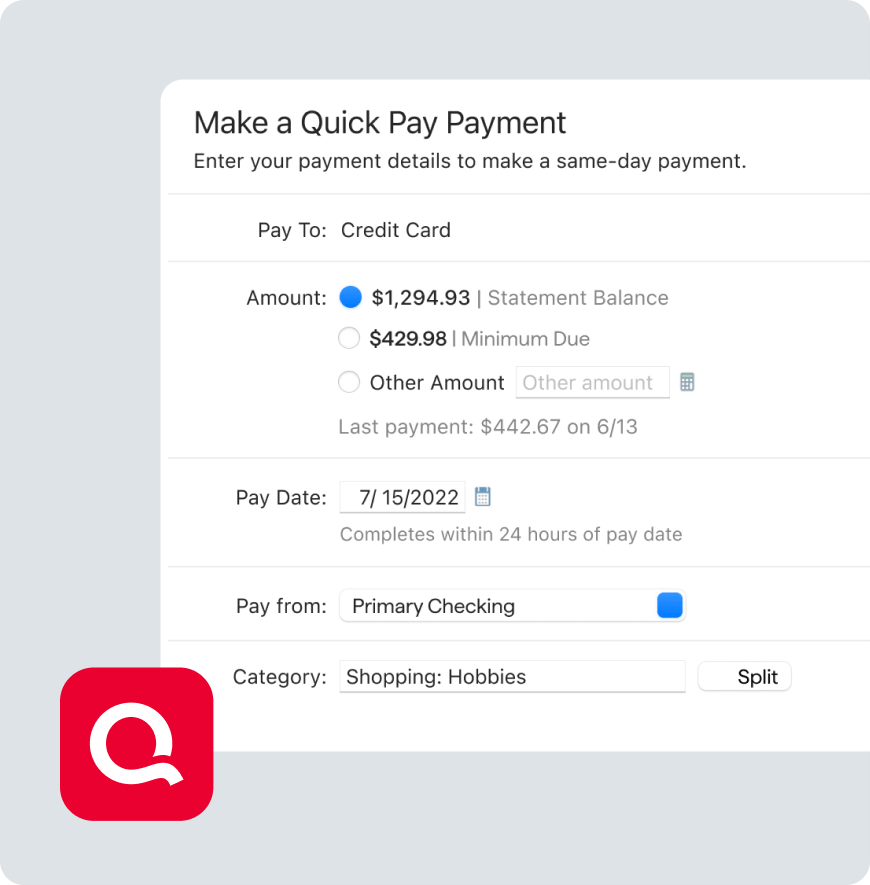 Quick Pay Payment user interface from Quicken software