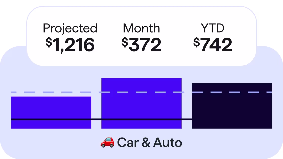 expense financial summary