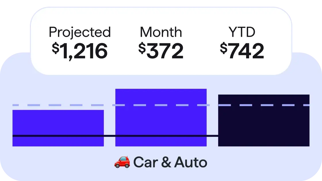 expense financial summary