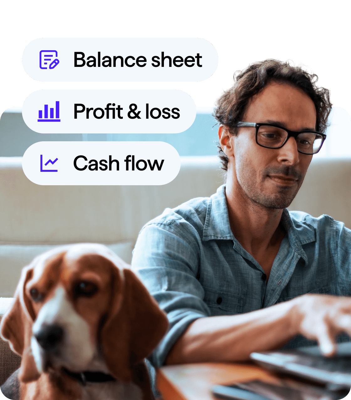 Working on Financial tools with dog