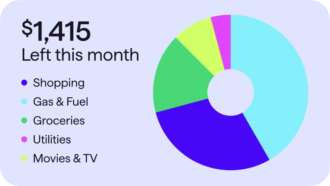 Monthly budget pie chart
