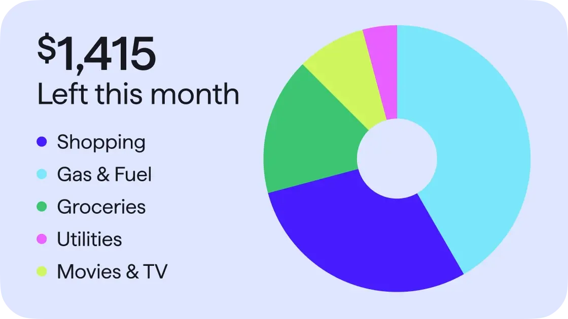 Monthly budget pie chart