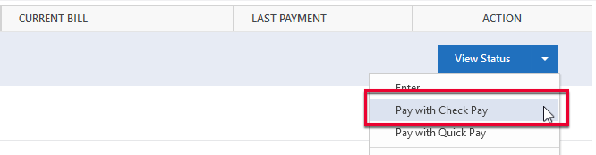 View Status Check Pay