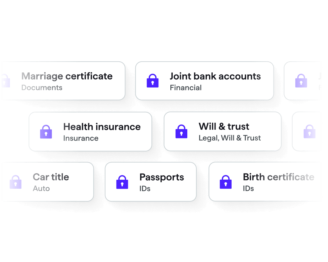 An overview of LifeHub's secure categorization of essential information like IDs and certificates.