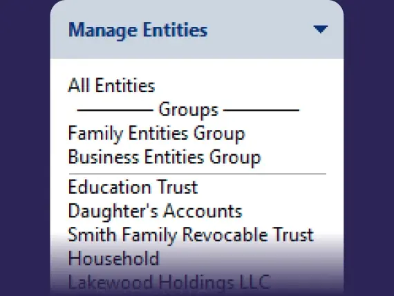 Screenshot of a Manage Entities dropdown menu listing All Entities, Groups including Family Entities Group and Business Entities Group, and individual entities such as Education Trust, Daughters Accounts, Smith Family Revocable Trust, Household, and Lakewood Holdings LLC.
