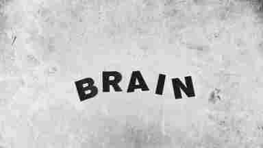 The word 'BRAIN' inscripted in black on a rugged white wall.