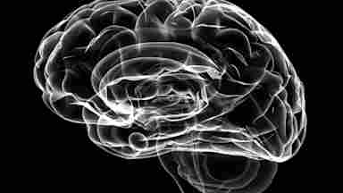 See through 3D brain black and white image