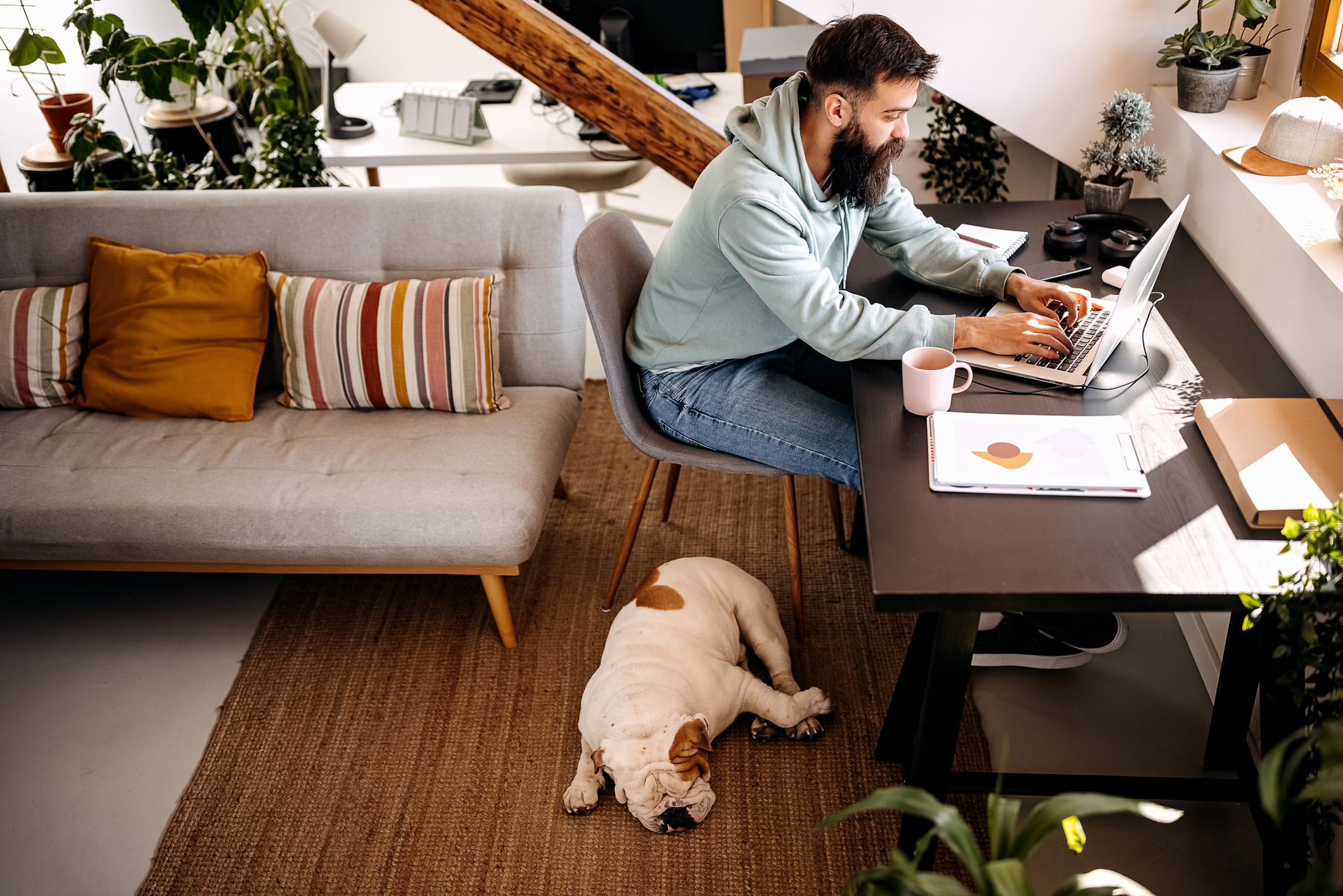 A young man works from a comfortable, well-lit home while his dog sleeps quietly at his feet.
