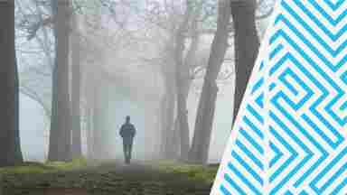 A person walking alone, into the fog, along a tree-lined outdoor path. 