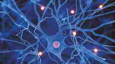 A blue, 3D rendition of a neuron. Small orbs of light run through the neural pathways.