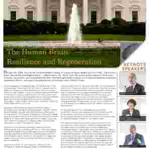 2014 Brain Matters Monthly newsletter, with the feature article "The Human Brain: Resilience and Regeneration." 
