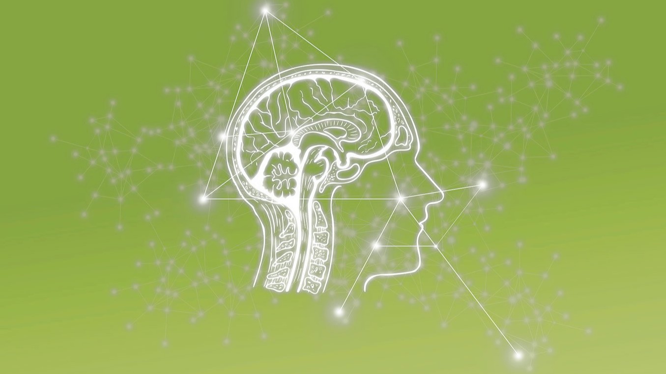 Brain networks depicting cannabis craving in human.