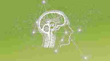 Brain networks depicting cannabis craving in human.