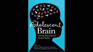 Book cover for The Adolescent Brain by Sandra B. Chapman, and et al.