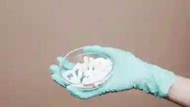 A gloved hand holding a plater of pills