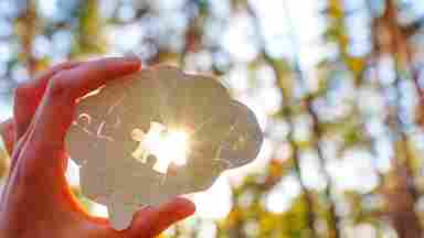 A hand holding a brain-shaped puzzle with one piece missing and exposing a ray of sunlight, against a backdrop of trees in nature.