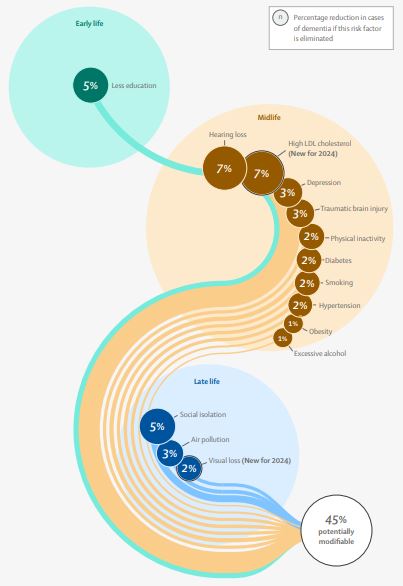 The 2024 update to the standing Lancet Commission on dementia prevention, intervention, and care adds two new risk factors (high LDL cholesterol and vision loss) and indicates that nearly half of all dementia cases worldwide could be prevented or delayed by addressing 14 modiﬁable risk factors.