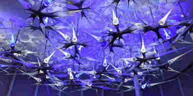 A purple neuron art installation on the ceiling of the Brain Performance Institute building's frontal lobe. 