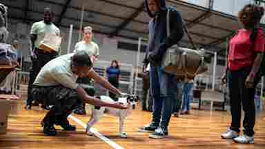 A young soldier comforts a family's dog as they take shelter at a community center after a natural disaster.