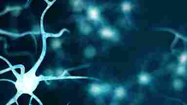 Neurons in a blue background.