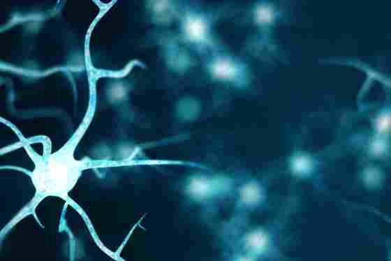 Neurons in a blue background. 