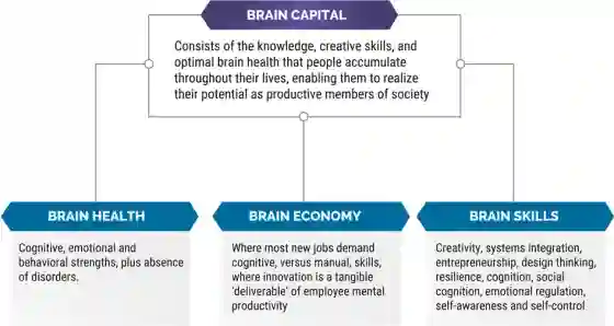 This figure provides the definition of Brain Capital, as well as an explanation of sub-components of Brain Capital i.e. Brain Health, Brain Economy and Brain Skills. Under our novel formulation, the concept of Brain Capital would encompass the knowledge, creative skills, and optimized brain health that people accumulate and can strengthen throughout their lives that enables them to realize their potential as productive members of society. Brain Capital should be supported at all levels of policymaking to ensure impact on human functionality and productivity 

