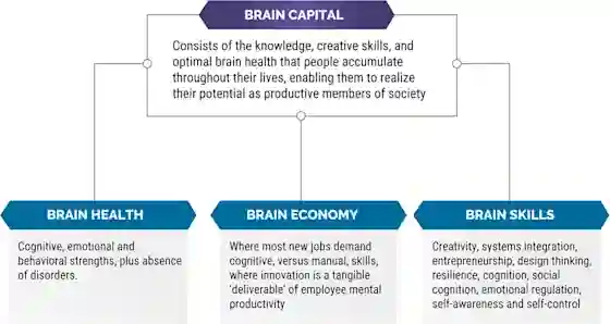 This figure provides the definition of Brain Capital, as well as an explanation of sub-components of Brain Capital i.e. Brain Health, Brain Economy and Brain Skills. Under our novel formulation, the concept of Brain Capital would encompass the knowledge, creative skills, and optimized brain health that people accumulate and can strengthen throughout their lives that enables them to realize their potential as productive members of society. Brain Capital should be supported at all levels of policymaking to ensure impact on human functionality and productivity 

