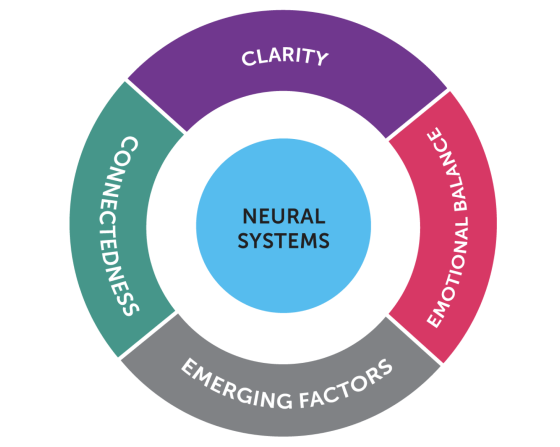 BrainHealth Neural Systems Wheel: Clarity, Connectedness, Emotional Balance and Emerging Factors.