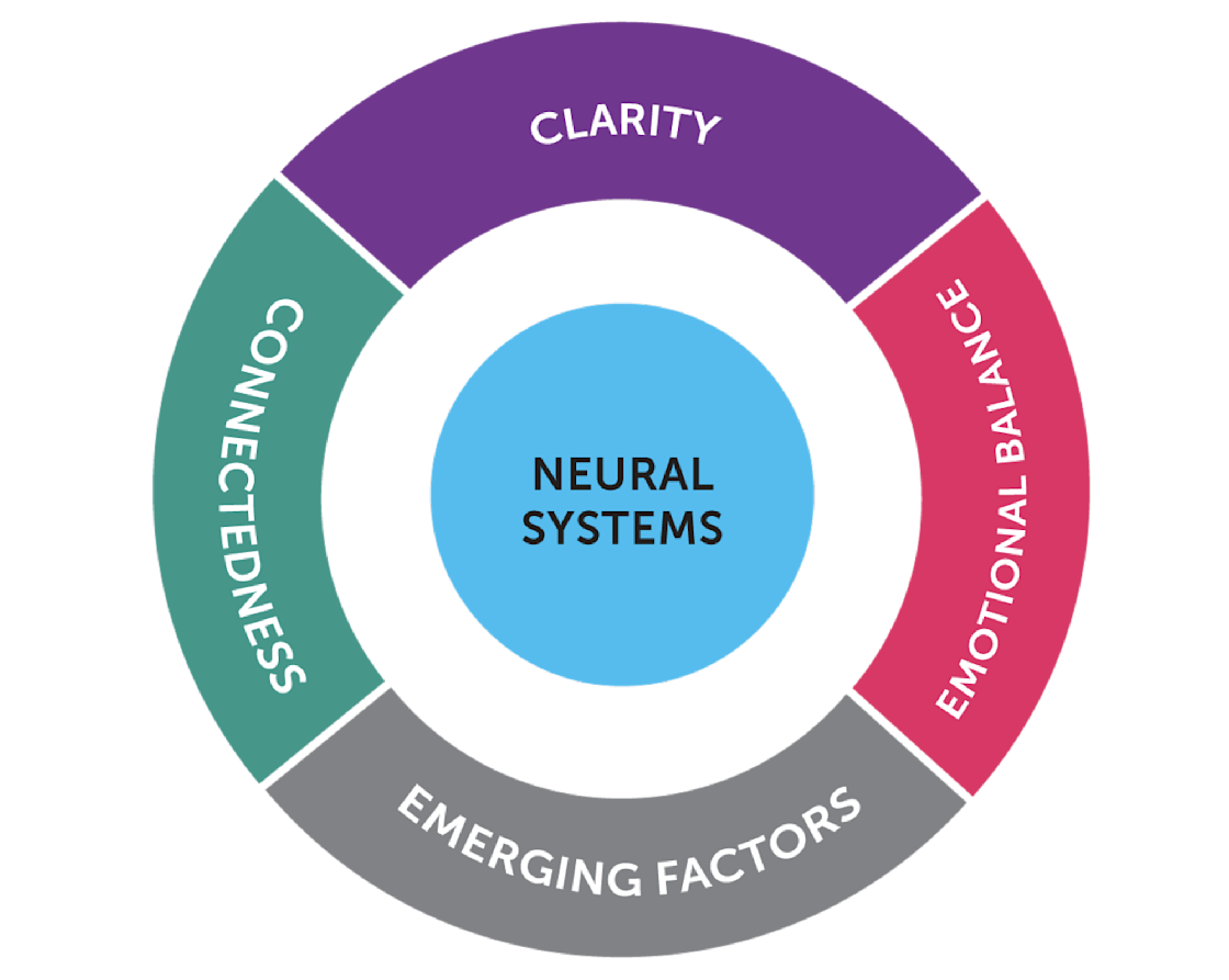 Brain Health Program