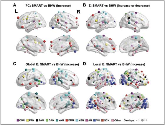 Figure 3 shows the specific brain areas in which the SMART training showed increases in network densities.