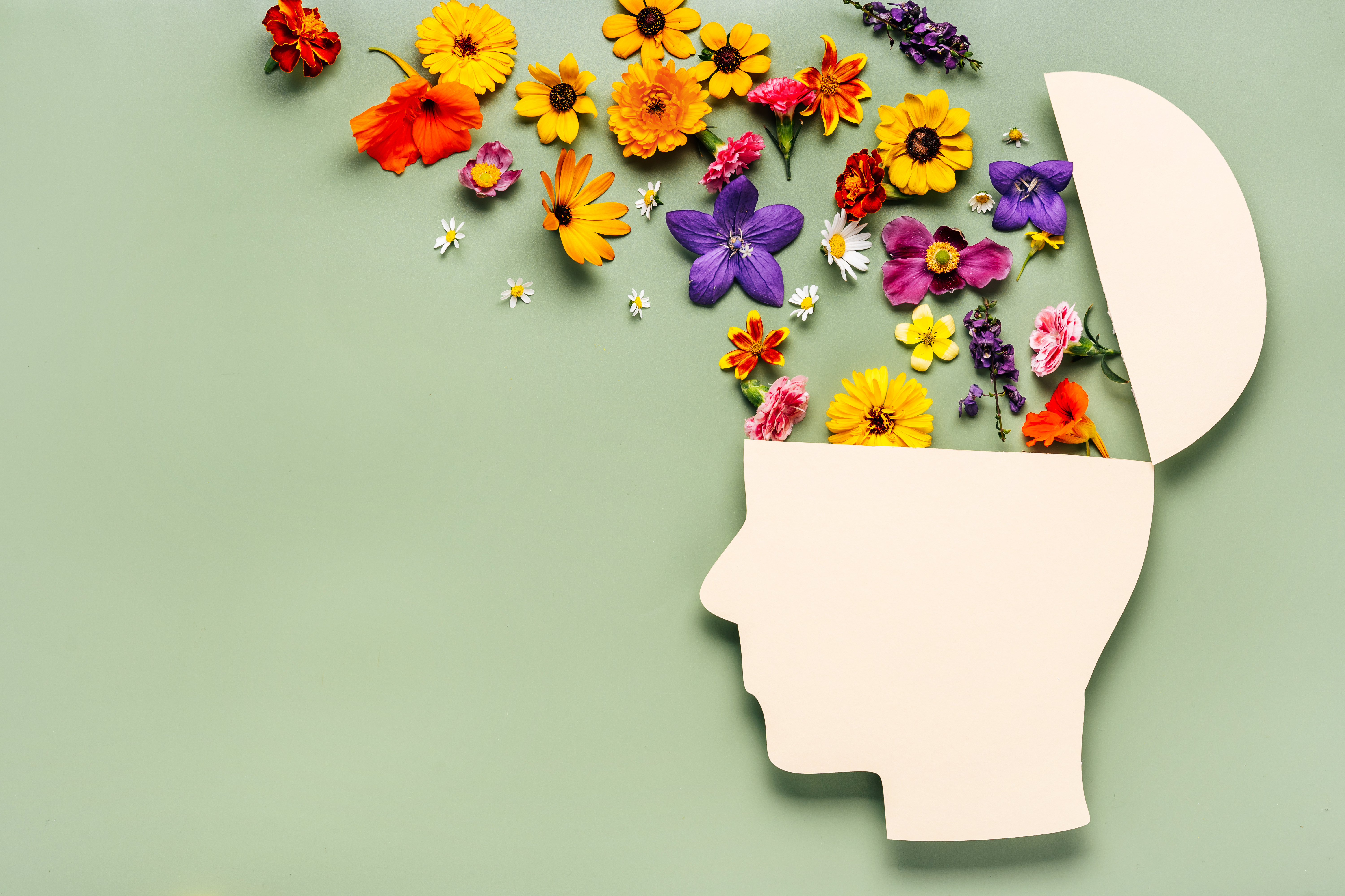 A paper cutout of a human head with the top open, releasing colorful flowers in yellow, purple, pink, and orange on a green background.