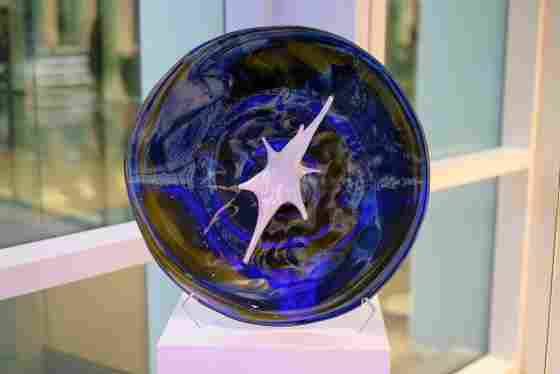 The Branch Award is embodied by a unique blown glass sculpture created by David Gappa of Vetro Art Glass, which features a white, star-shaped object in the center as an artistic representation of a neuron.
