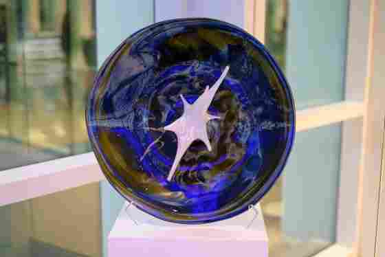 The Branch Award is embodied by a unique blown glass sculpture created by David Gappa of Vetro Art Glass, which features a white, star-shaped object in the center as an artistic representation of a neuron. 