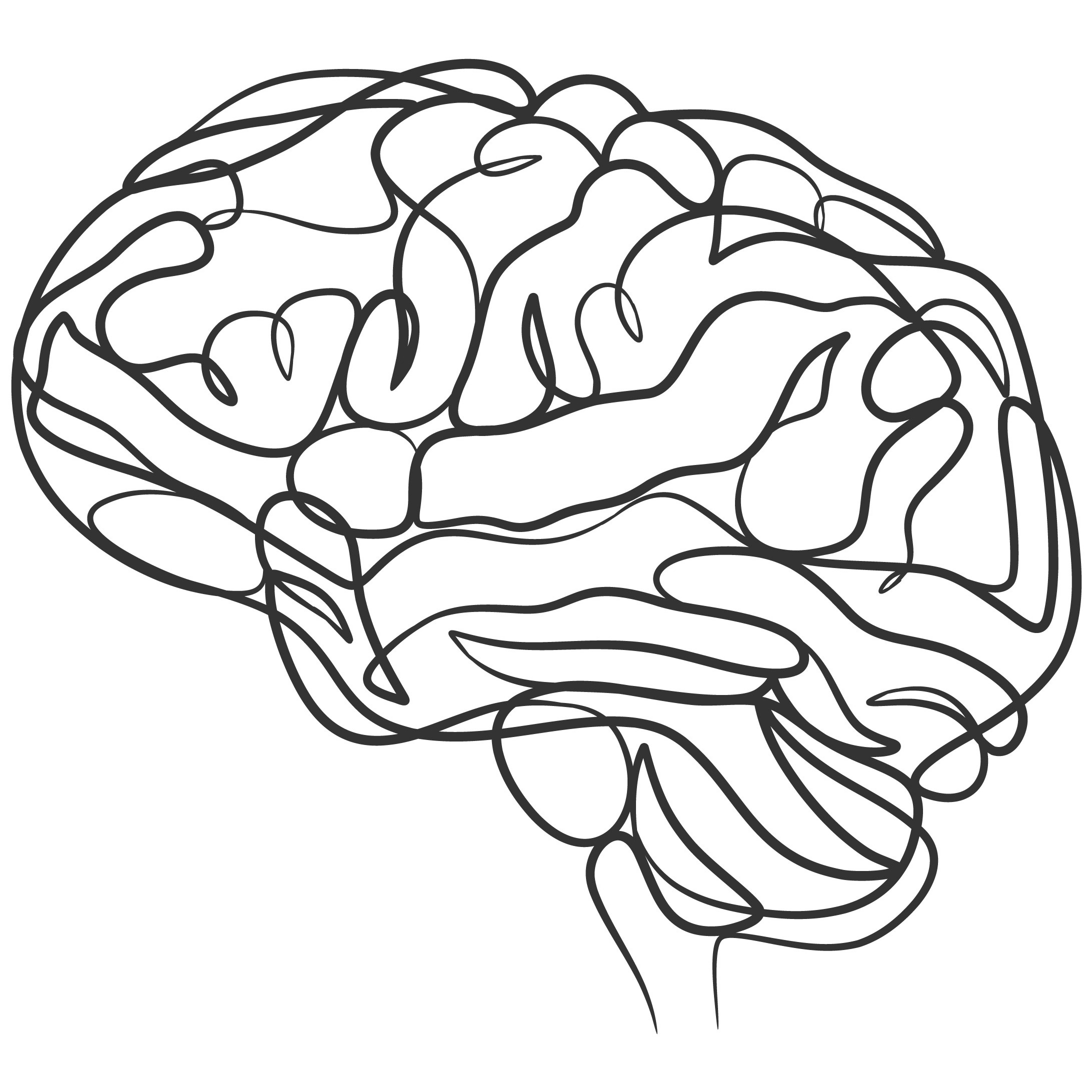 Continuous line drawing of a human brain, minimalist design.