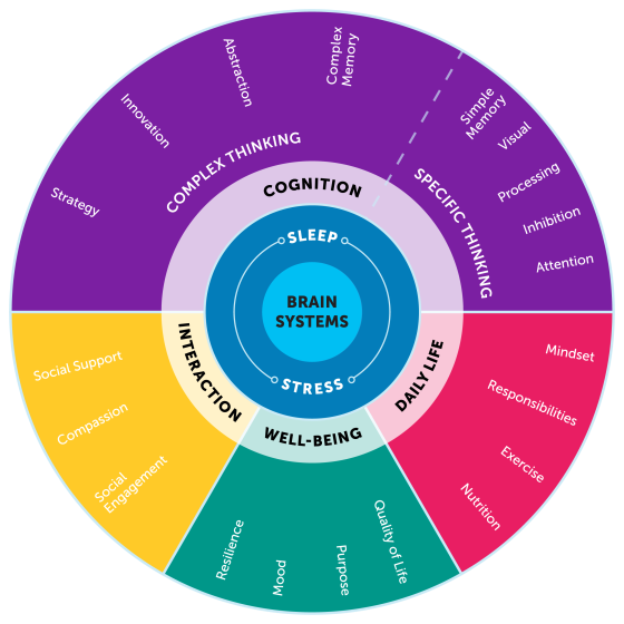 The components of brain health: cognition, daily life, well-being and interaction.