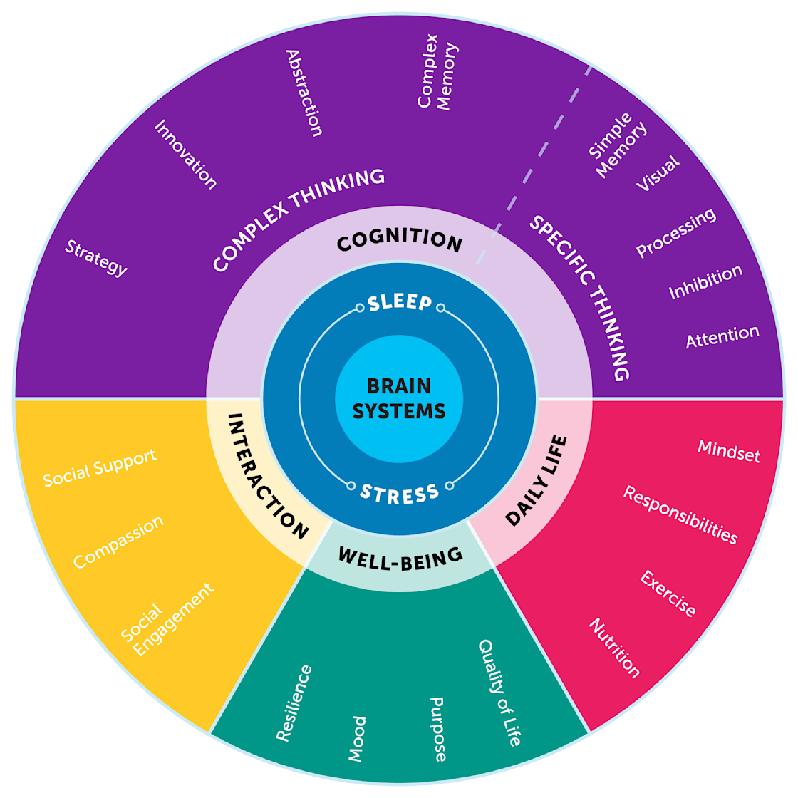 Brain Health Program