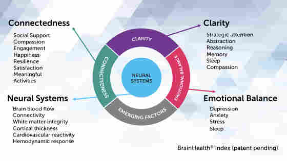 Brain health can be measured, using a metric to measure function of neural systems, as well as clarity, connectedness and emotional balance. 