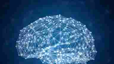 Digital render of a brain.