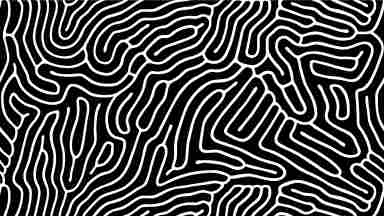 An abstract black and white line illustration. 